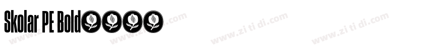Skolar PE Bold字体转换